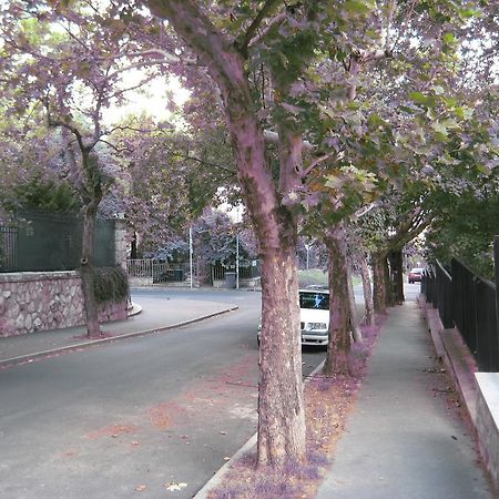 Platan Apartman บูดาเปสต์ ห้อง รูปภาพ
