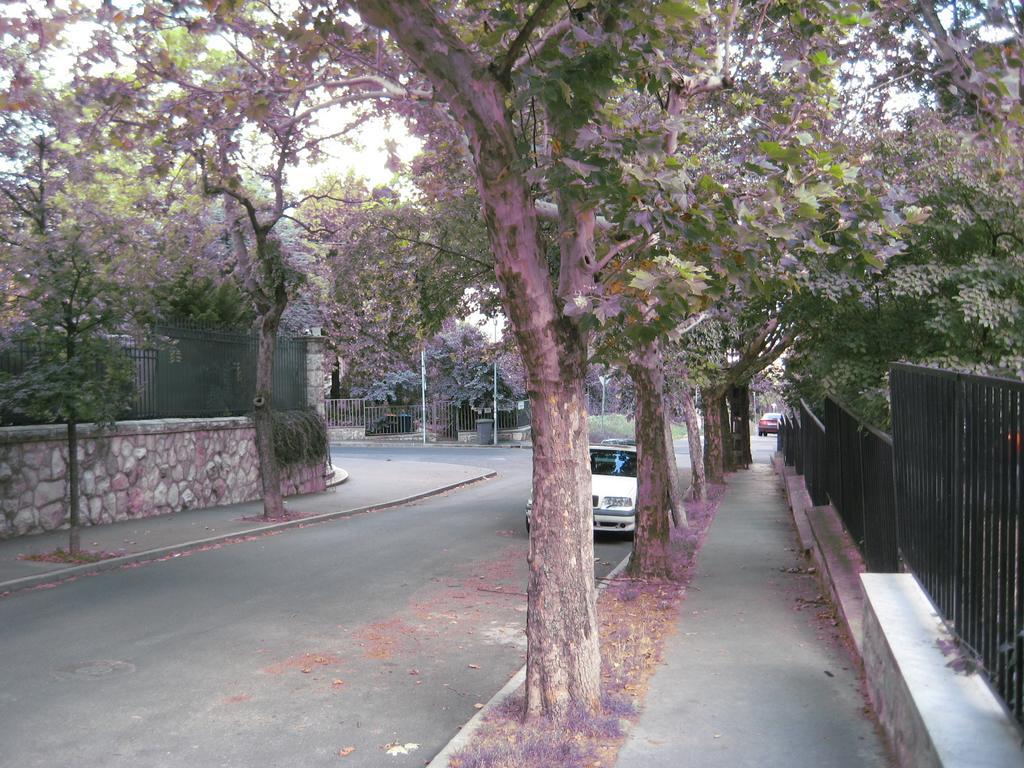 Platan Apartman บูดาเปสต์ ห้อง รูปภาพ