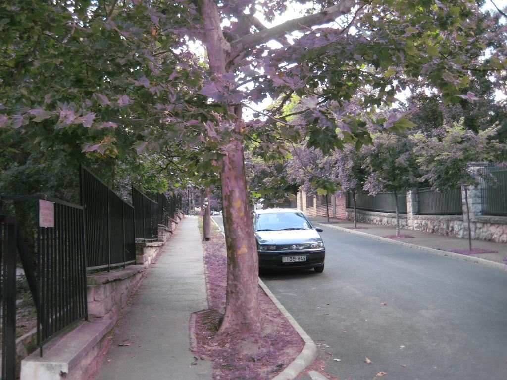 Platan Apartman บูดาเปสต์ ห้อง รูปภาพ